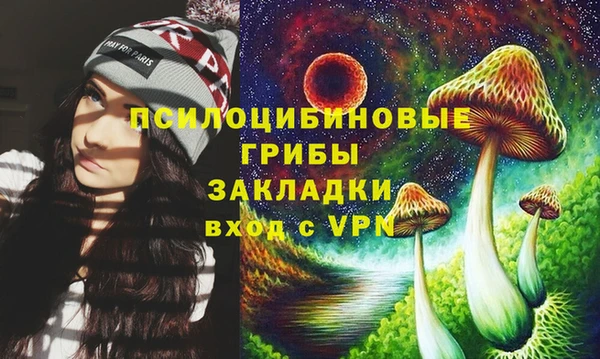 ешки Алексин