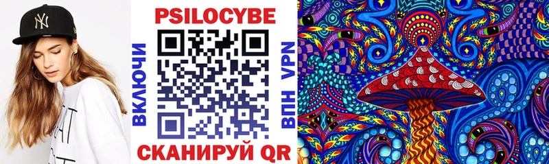 купить закладку  Жердевка  Галлюциногенные грибы GOLDEN TEACHER 